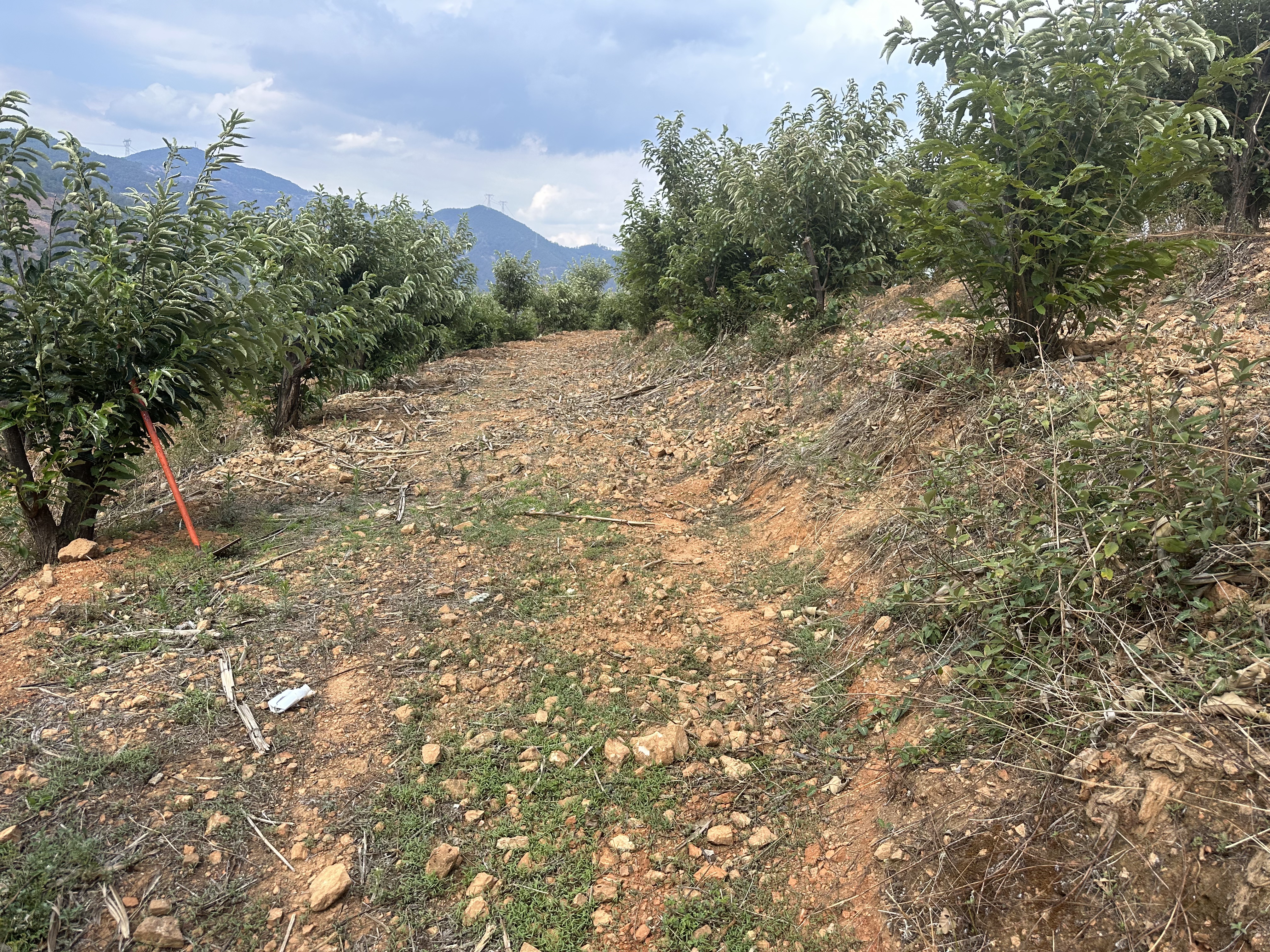 1����ǰ δ���Ӳ�״̬.jpg