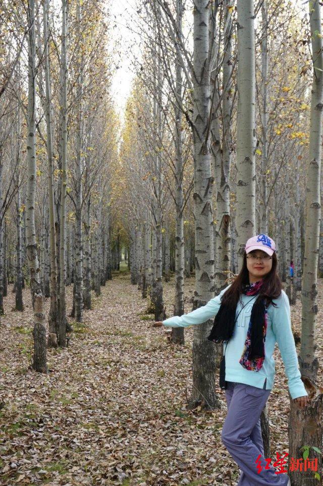 ��ɶ�������������δ�� | �ɶ���������ҵ��Ȧǿ���˲����롱��ѡ�߶��ȣ�12���ᴺ����������ͬ���ǡ�����