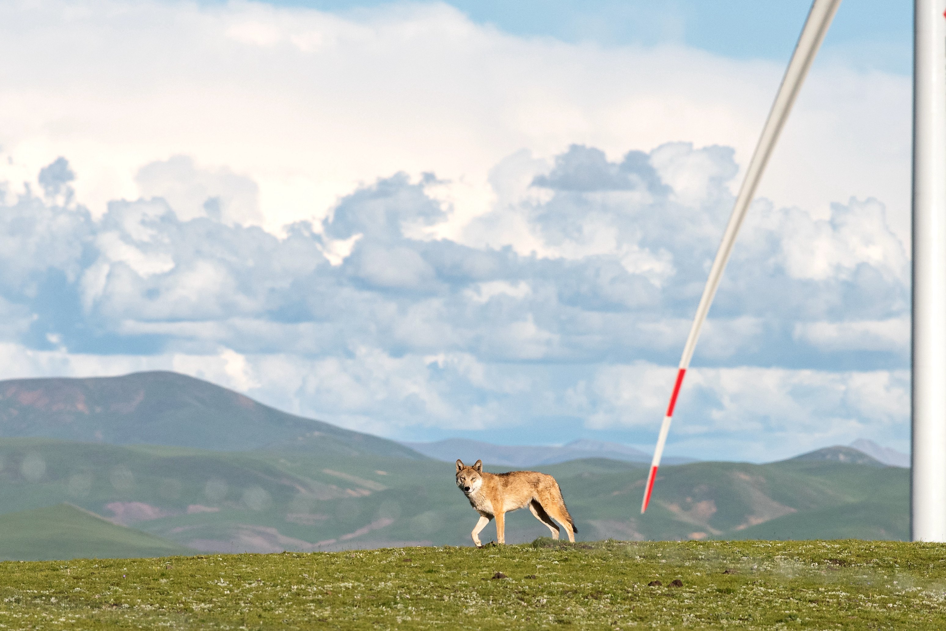 6731�������ֹٷ���վ-�����������ַ���Ʒ��